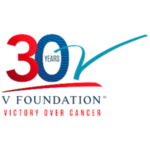v-foundation